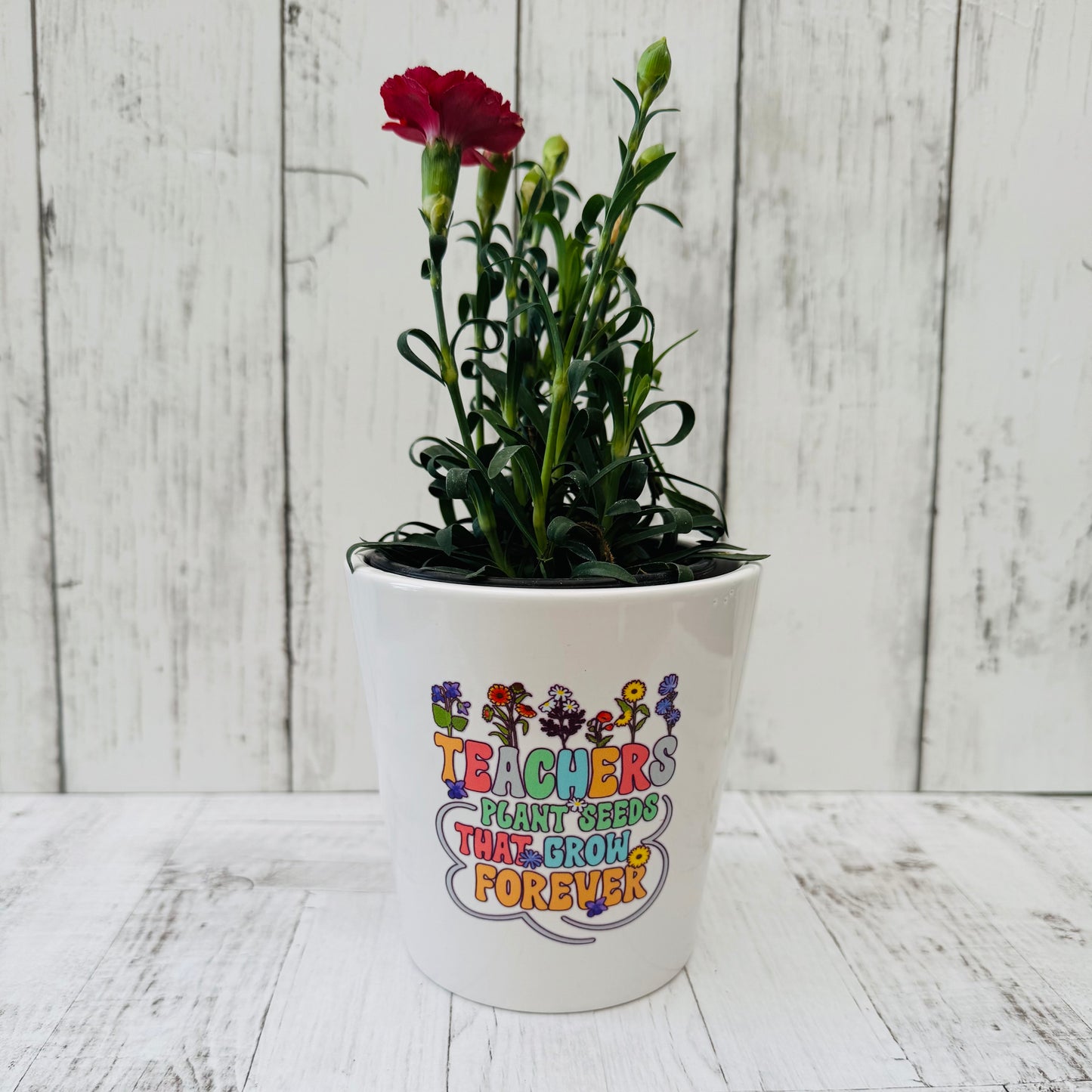 Teacher Pots
