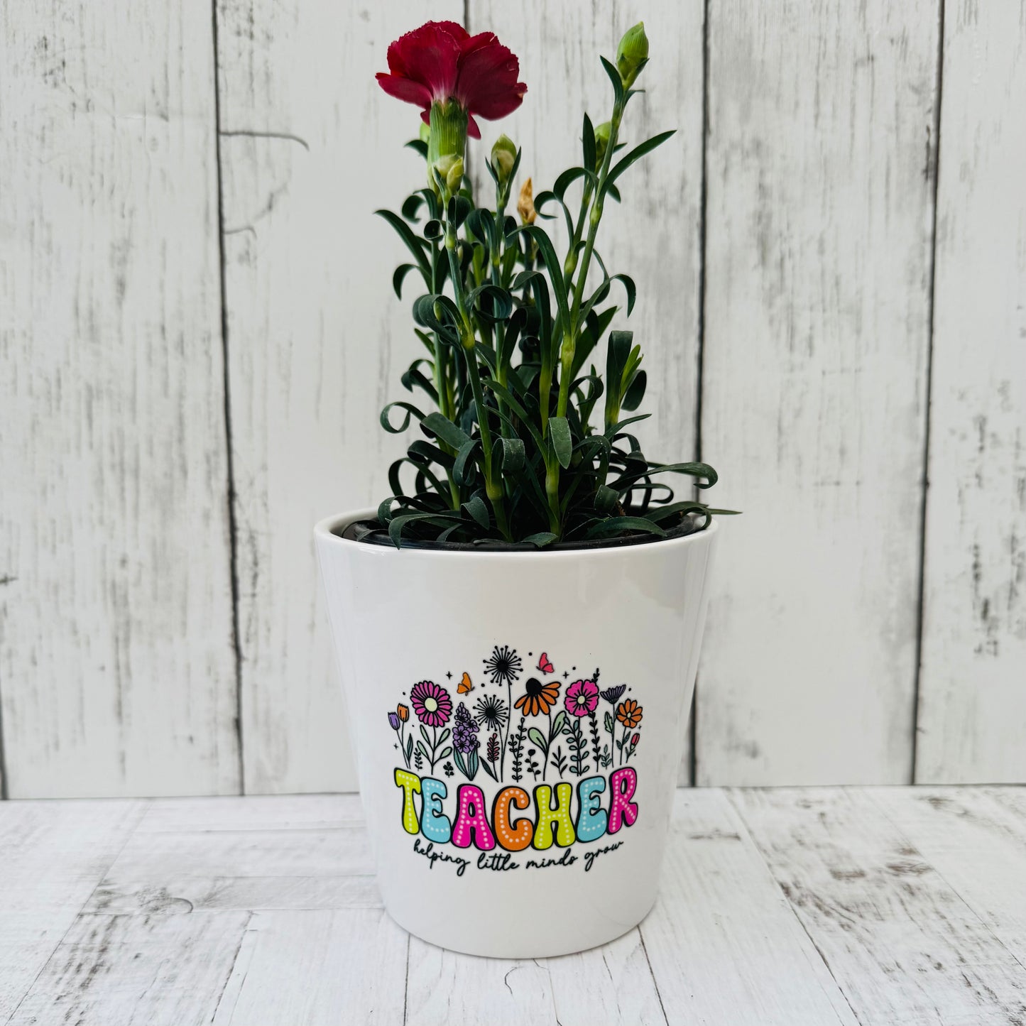 Teacher Pots