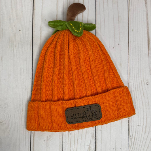 Toddler Pumpkin Beanie