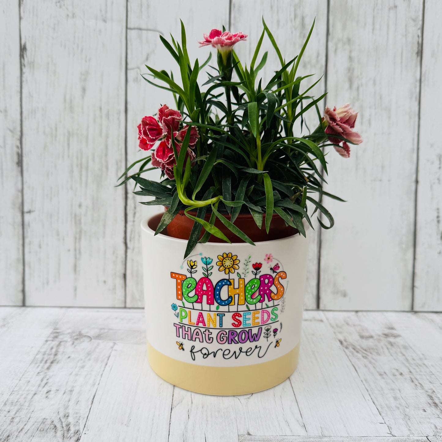 Teacher Pots